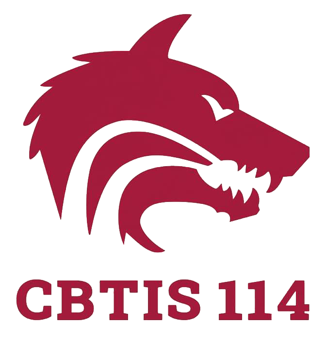 LOBOS CBTIS 114